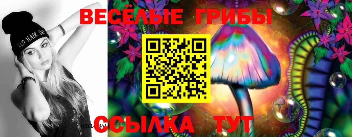 Галлюциногенные грибы мухоморы Усть-Лабинск